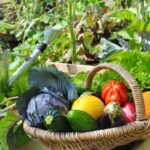 Verse seizoensgroenten en fruit op tafel voor een gezonde levensstijl.